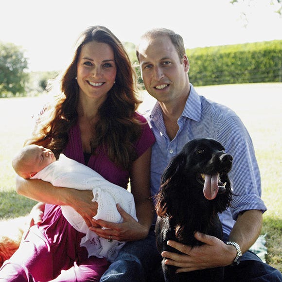 Human, Dog breed, Dog, Mammal, Vertebrate, Happy, Carnivore, Sitting, People in nature, Love, 