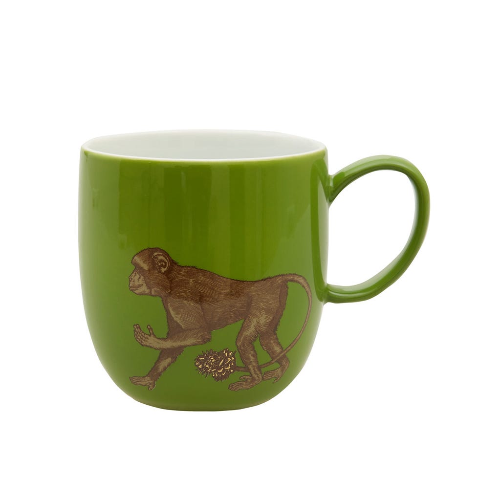 Serveware, Cup, Organism, Drinkware, Dishware, Terrestrial animal, Mug, Ceramic, Pottery, earthenware, 