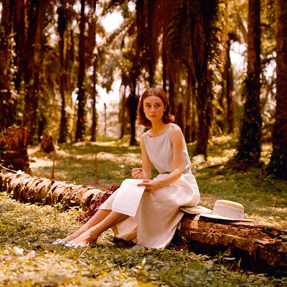 Sitting, People in nature, Dress, Sunlight, Beauty, Youth, Trunk, Spring, Forest, Deciduous, 