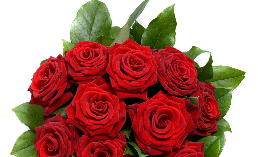 Petal, Flower, Bouquet, Red, Leaf, Cut flowers, Rose family, Flowering plant, Flower Arranging, Floristry, 