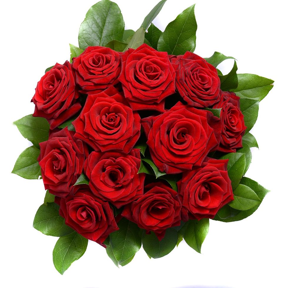 Red rose - Valentine's Day - red roses delivered