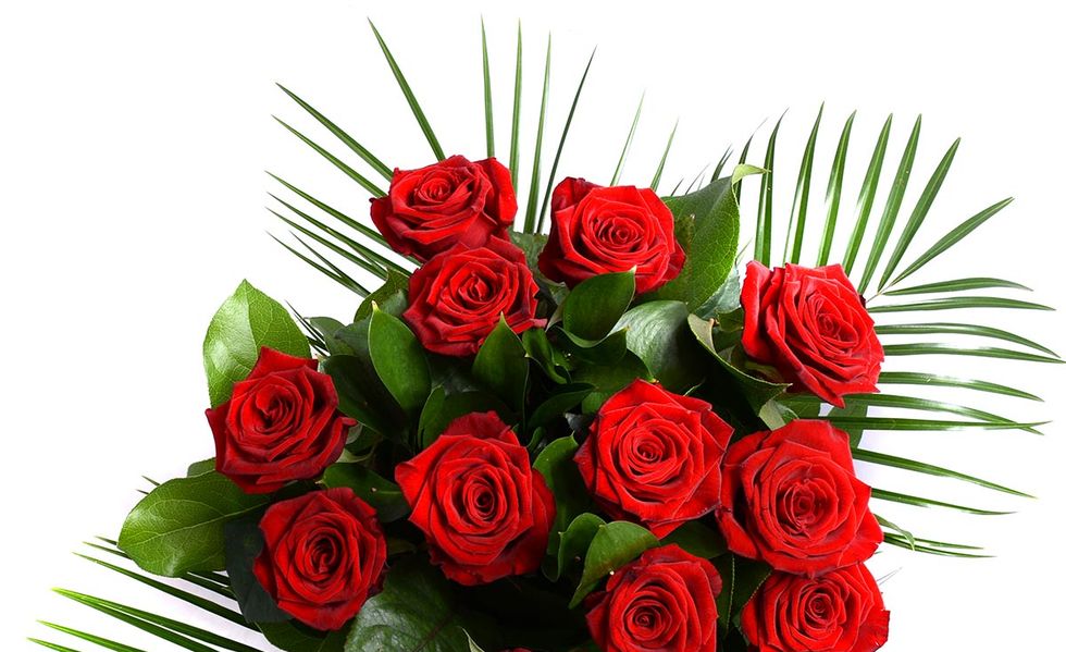 Petal, Flower, Red, Bouquet, Cut flowers, Rose family, Floristry, Flowering plant, Flower Arranging, Rose order, 