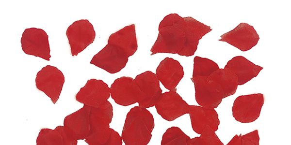 Red, Colorfulness, Carmine, Coquelicot, Maroon, Heart, Still life photography, Illustration, Valentine's day, Artificial flower, 