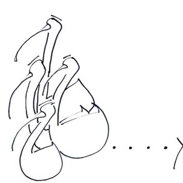 White, Art, Line art, Artwork, Black-and-white, Illustration, Drawing, Sock, Graphics, Sketch, 