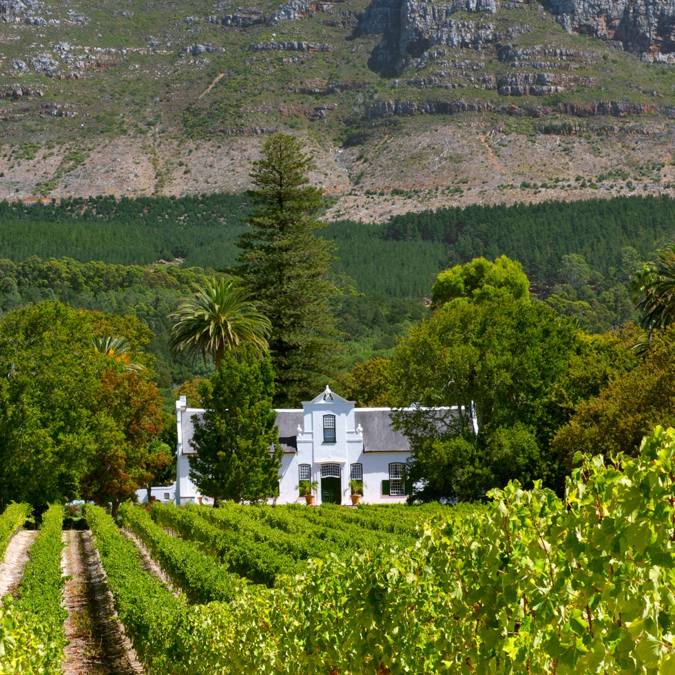 Agriculture, Plant community, Farm, Land lot, House, Rural area, Field, Plantation, Hill station, Shrub, 
