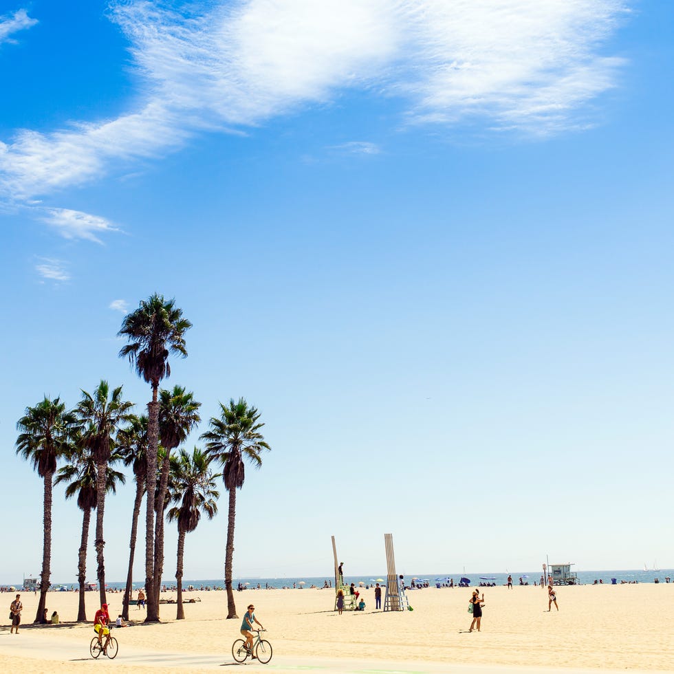 Daytime, Sky, Tourism, Sand, Summer, Woody plant, Holiday, Sunlight, Vacation, Azure, 