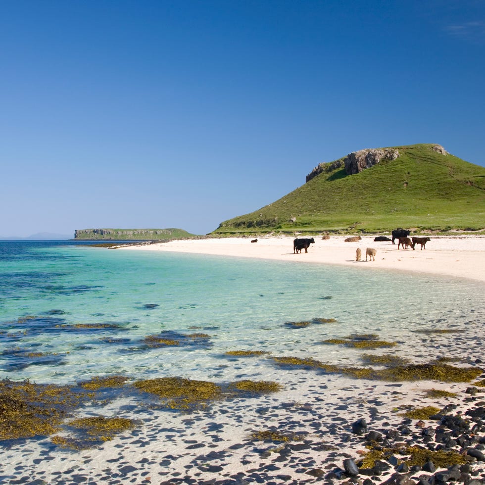 Body of water, Coastal and oceanic landforms, Coast, Shore, Ocean, Beach, Bay, Terrain, Sea, Rock, 