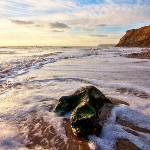 Body of water, Coastal and oceanic landforms, Shore, Ocean, Beach, Algae, Coast, Tide, Wave, Green algae, 