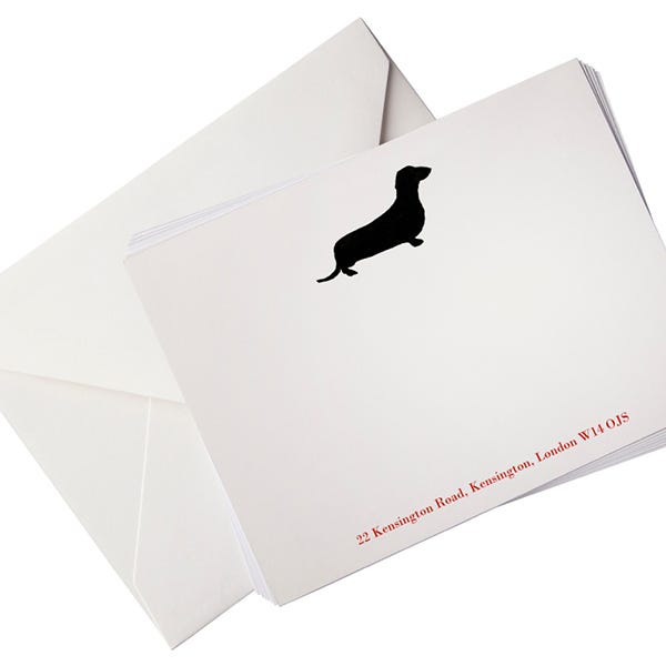 Paper product, Bird, Paper, Beak, Book, Stationery, Publication, 