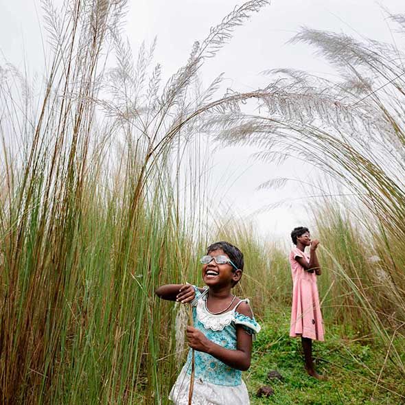 Human, People in nature, Flowering plant, Grass family, Phragmites, Agriculture, Poales, Rural area, Crop, Prairie, 