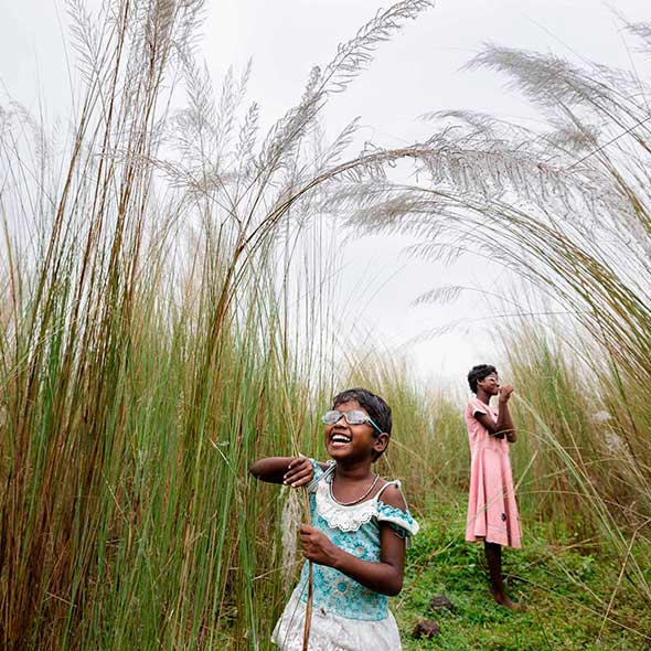 Human, People in nature, Flowering plant, Grass family, Phragmites, Agriculture, Poales, Rural area, Crop, Prairie, 
