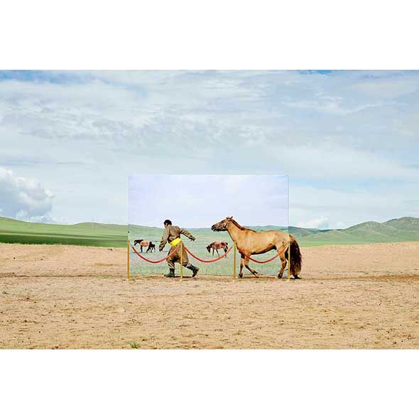 Landscape, Plain, Horse, Ecoregion, Sorrel, Grassland, Working animal, Rural area, Pasture, Stallion, 