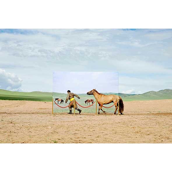 Landscape, Plain, Horse, Ecoregion, Sorrel, Grassland, Working animal, Rural area, Pasture, Stallion, 