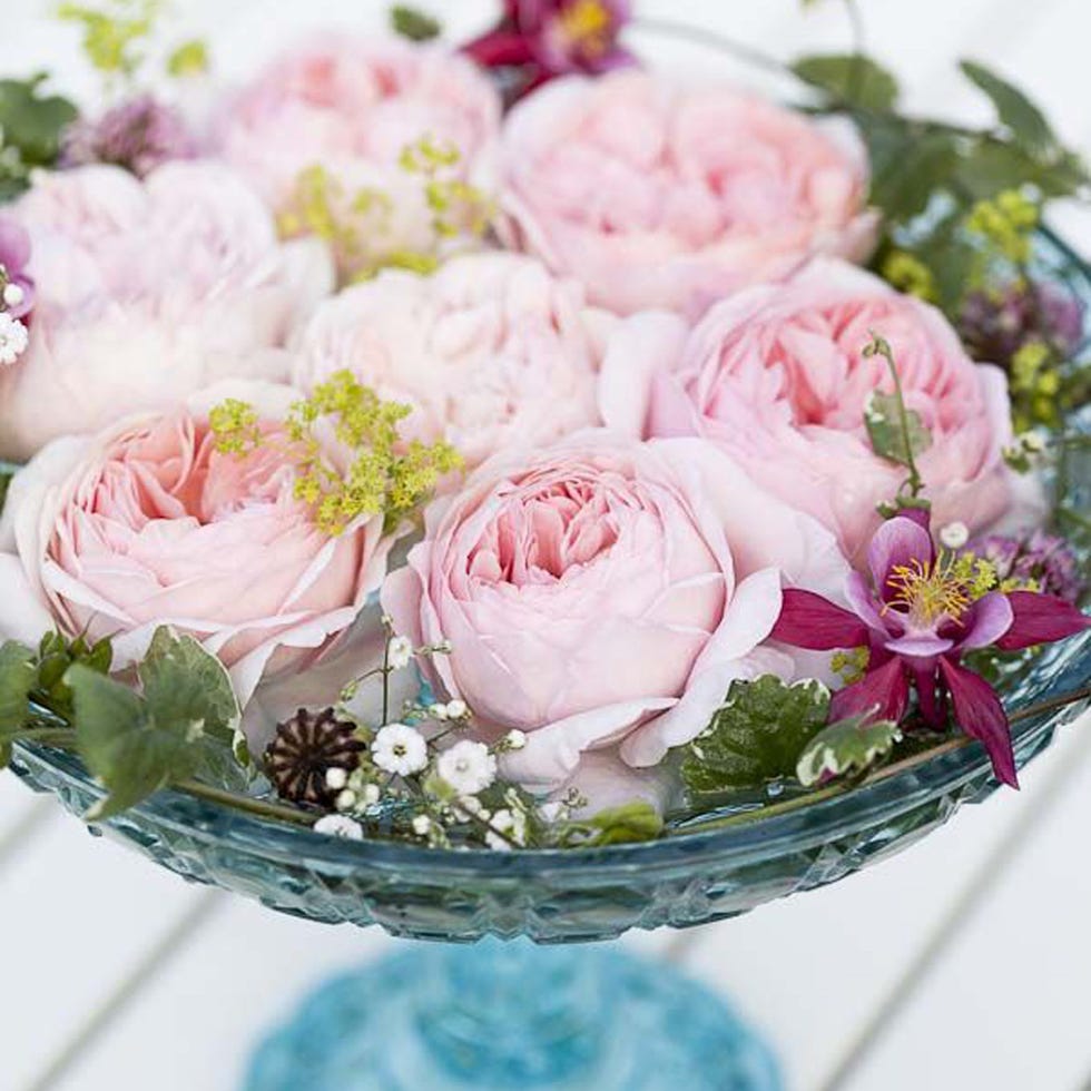 Petal, Flower, Pink, Cut flowers, Flowering plant, Rose family, Garden roses, Bouquet, Rose order, Artificial flower, 