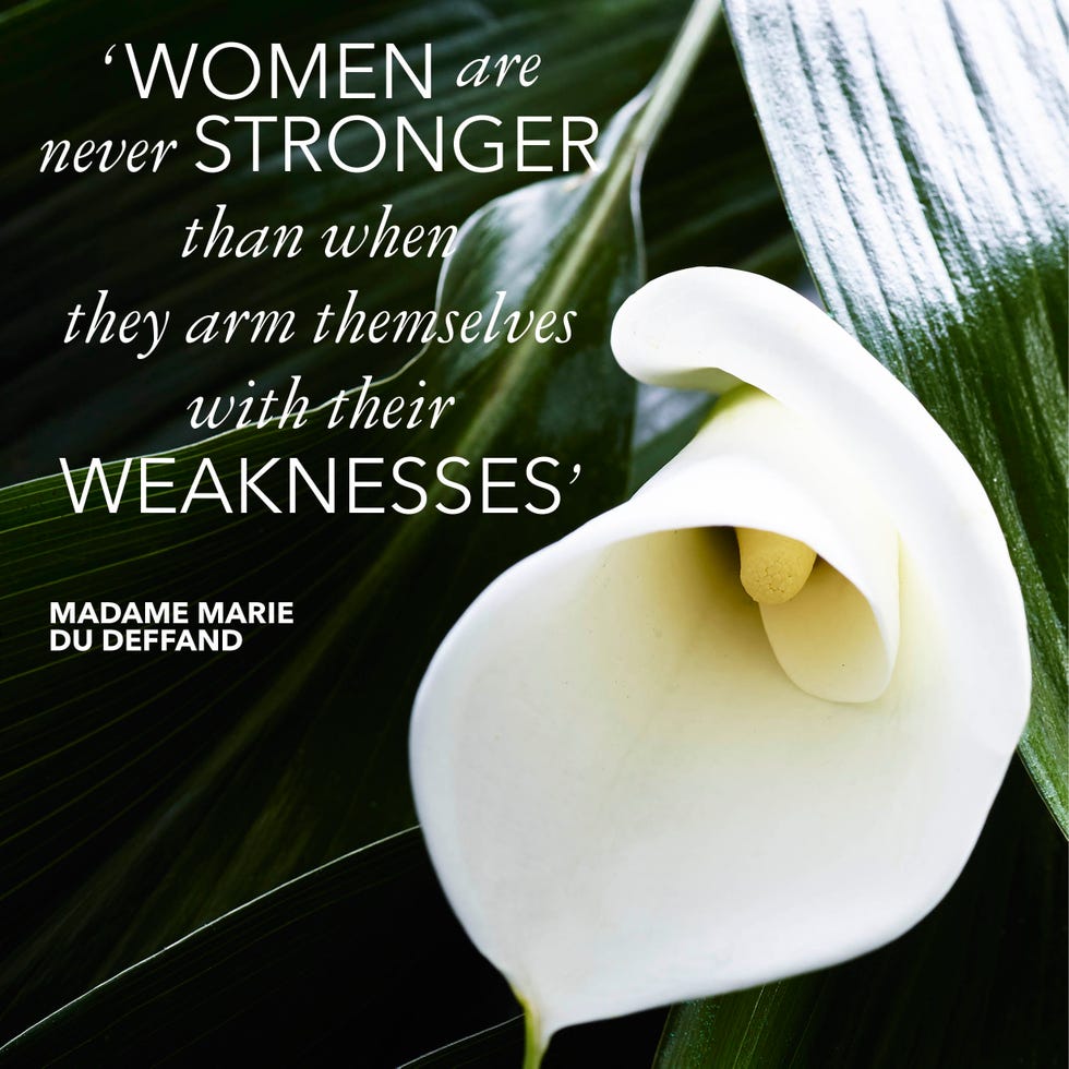 Flower, Petal, Arum, Botany, Flowering plant, Terrestrial plant, giant white arum lily, Alismatales, Close-up, Arum family, 