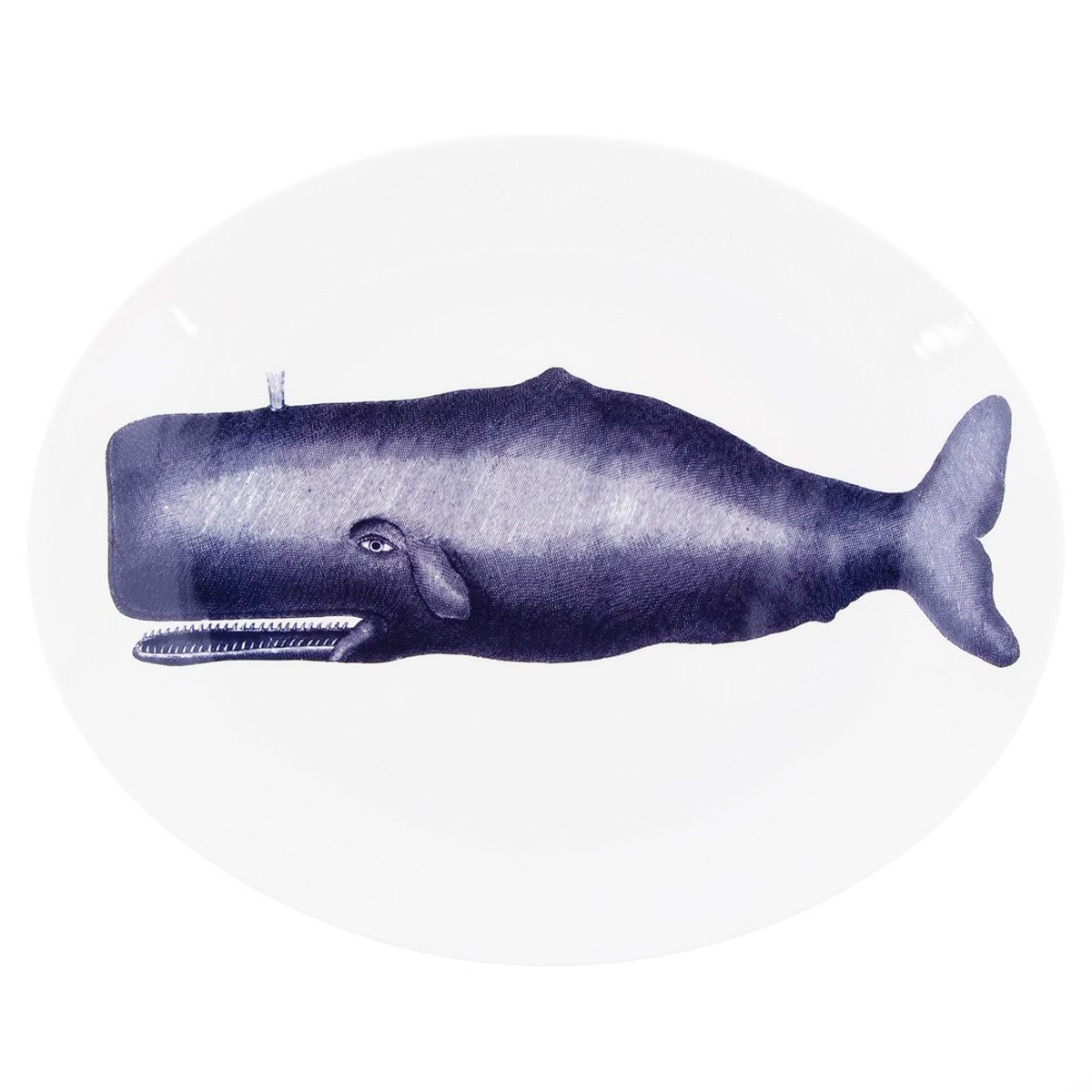 Marine mammal, Fin, Marine biology, Fish, Sea cows, Drawing, Whale, Manatee, 