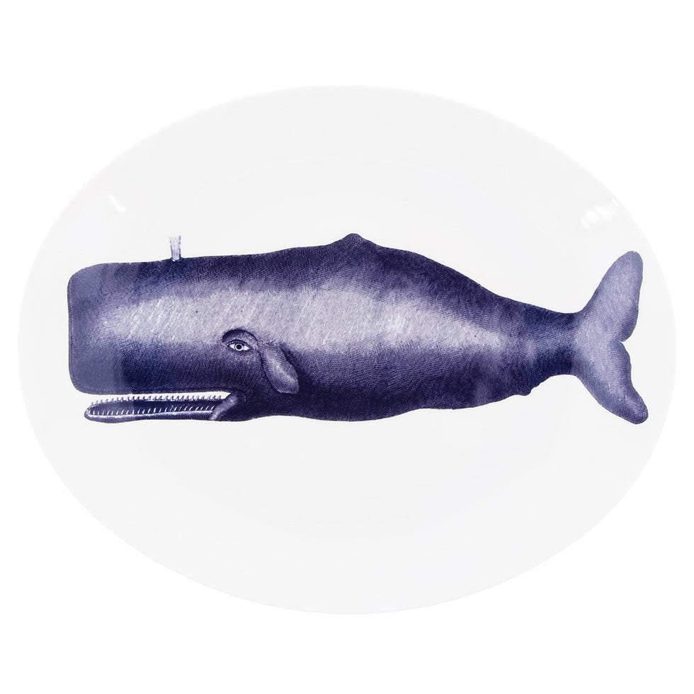 Marine mammal, Fin, Marine biology, Fish, Sea cows, Drawing, Whale, Manatee, 