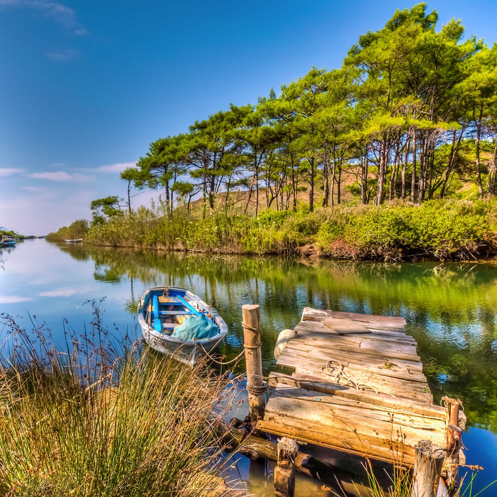 Body of water, Nature, Natural landscape, Natural environment, Plant, Reflection, Water, Plant community, Landscape, Watercraft, 