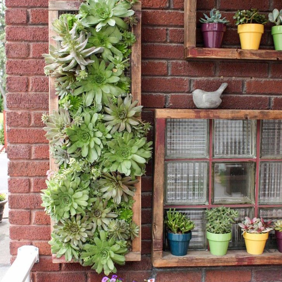 Plant, Flowerpot, Brick, Interior design, Houseplant, Brickwork, Bird, Annual plant, Pottery, Beak, 