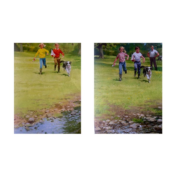 Sports equipment, Recreation, Mammal, Leisure, Outdoor recreation, Grassland, Plain, Ball game, Sports, Individual sports, 