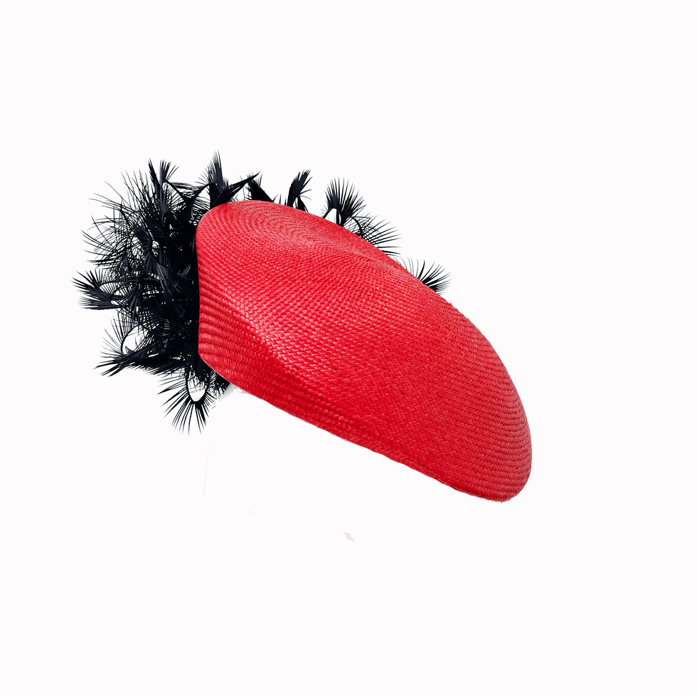 Carmine, Feather, Coquelicot, Natural material, Animal product, Drawing, 