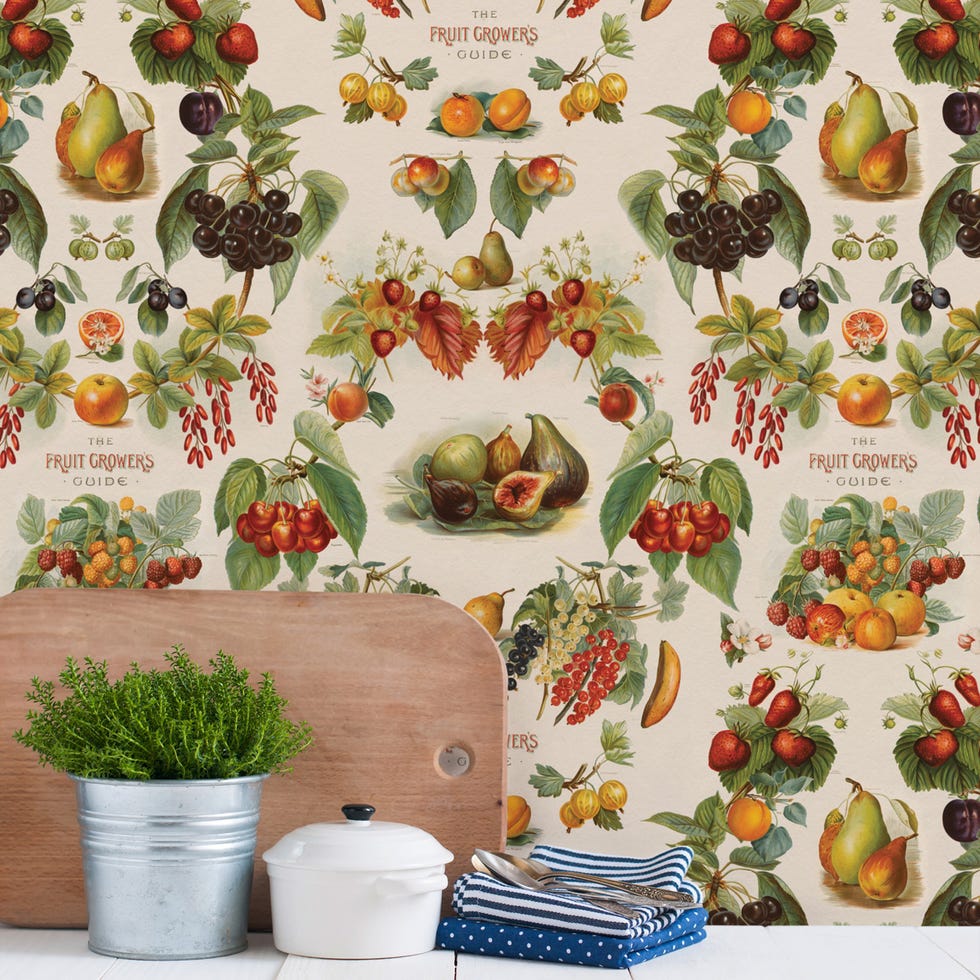 Orange, Natural foods, Produce, Botany, Flowerpot, Fruit, Food group, Illustration, Serveware, Peach, 