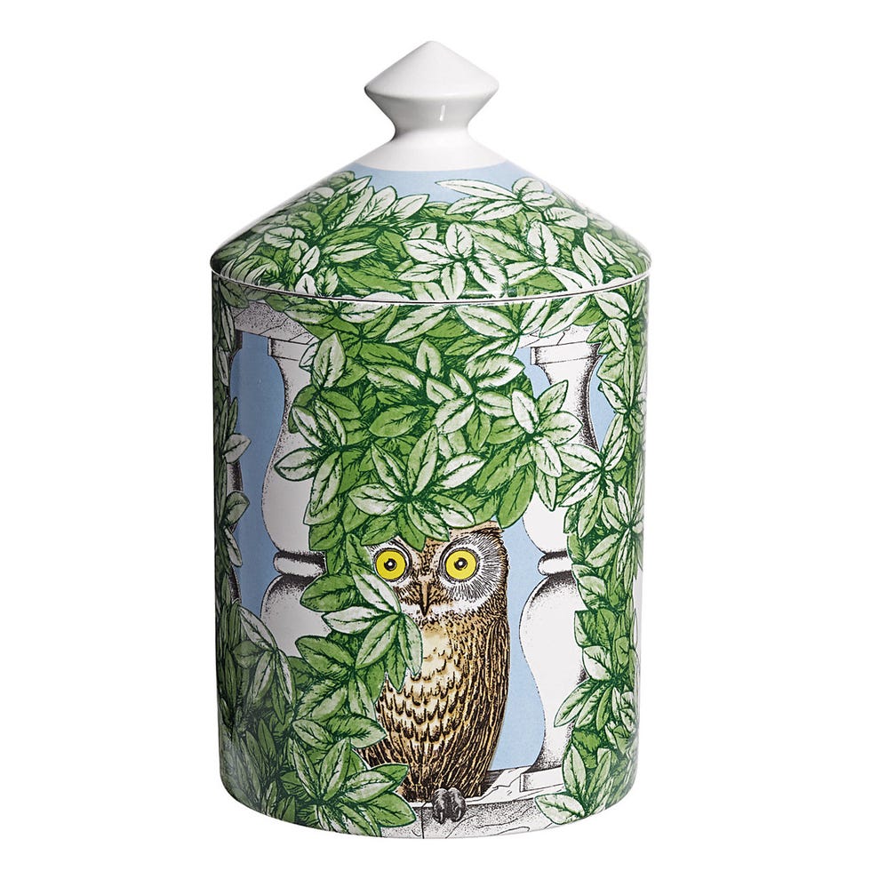 Bird, Beak, Teal, Bottle, Artifact, Porcelain, Creative arts, Bird of prey, Falconiformes, Pattern, 