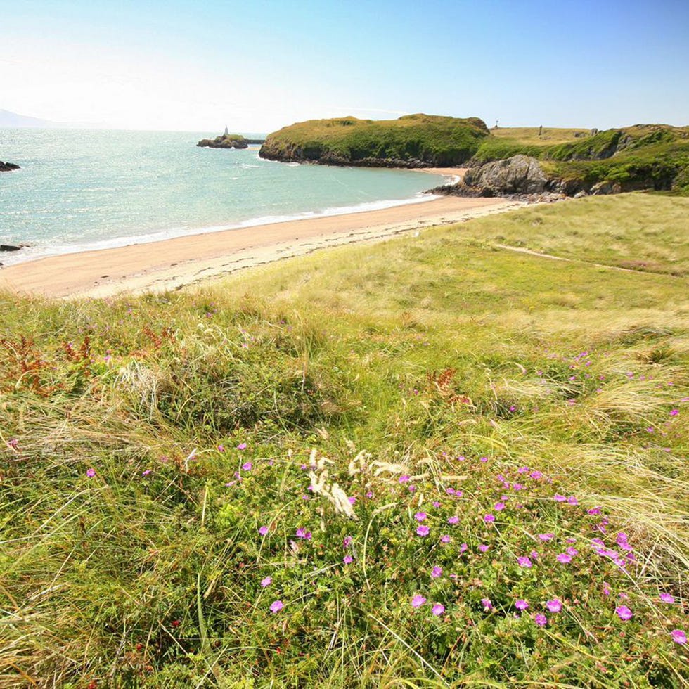 Coastal and oceanic landforms, Vegetation, Coast, Shore, Plant community, Bank, Ocean, Bay, Headland, Sea, 