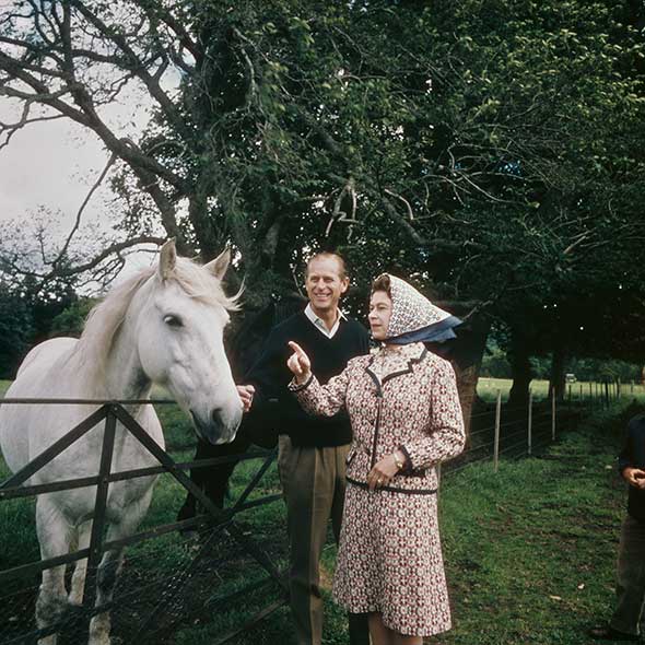 Human, Vertebrate, Horse, Interaction, People in nature, Working animal, Sun hat, Horse supplies, Livestock, Bridle, 