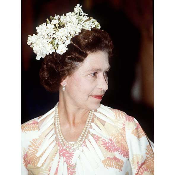 Hairstyle, Chin, Petal, Hair accessory, Headpiece, Style, Headgear, Fashion accessory, Fashion, Beauty, 