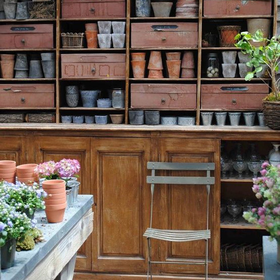 Wood, Plant, Flowerpot, Wood stain, Hardwood, Houseplant, Tan, Interior design, Varnish, Collection, 
