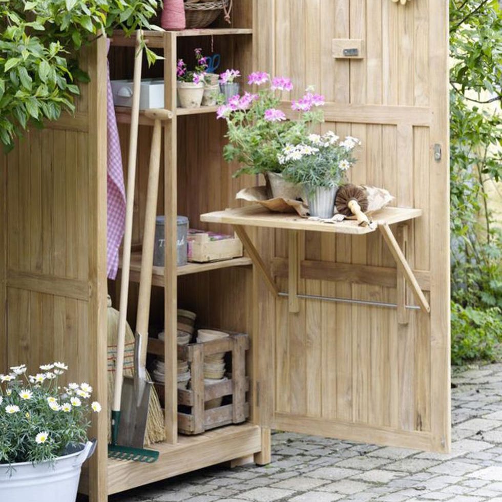 Wood, Plant, Flowerpot, Flower, Purple, Petal, Lavender, Violet, Hardwood, Shrub, 