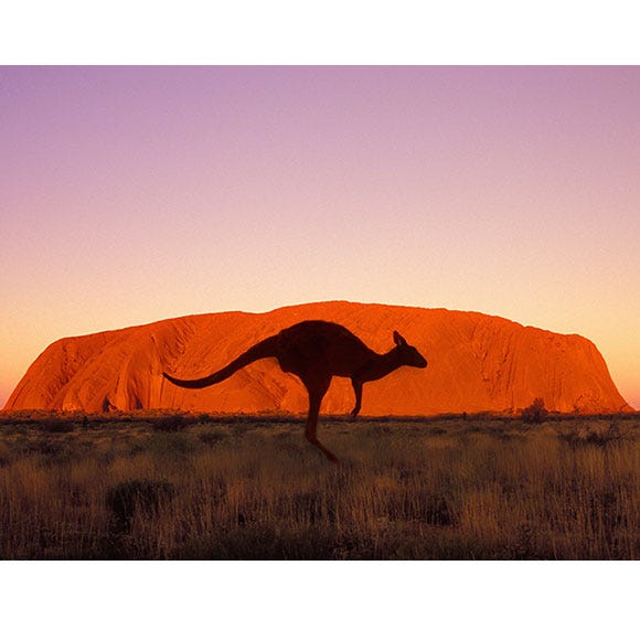 Natural environment, Natural landscape, Landscape, Camelid, Aeolian landform, Terrestrial animal, Adaptation, Ecoregion, Desert, Camel, Natural environment, Natural landscape, Landscape, Camelid, Aeolian landform, Terrestrial animal, Adaptation, Ecoregion, Desert, Camel,
