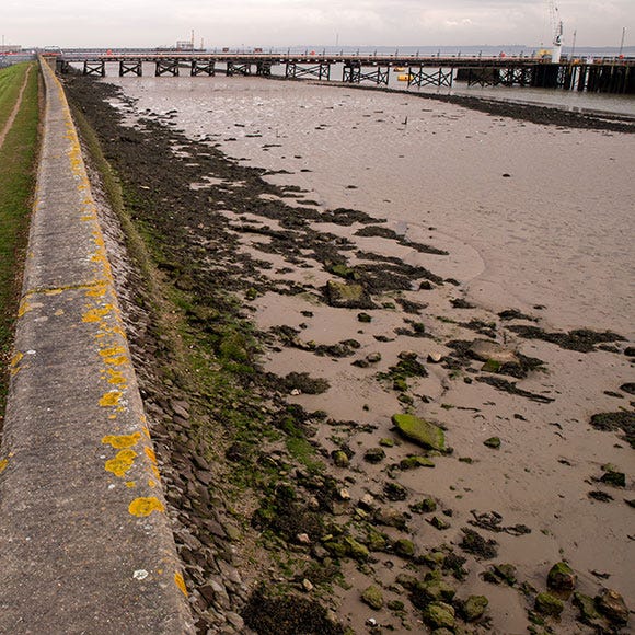 Coastal and oceanic landforms, Shore, Coast, Channel, Wetland, Beach, Lane, Bridge, Mudflat, Levee, 