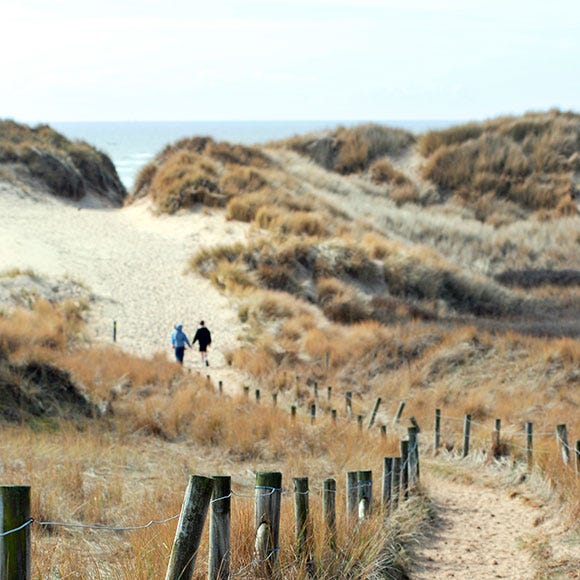 Shrubland, Chaparral, Walking, Dirt road, Sand, 