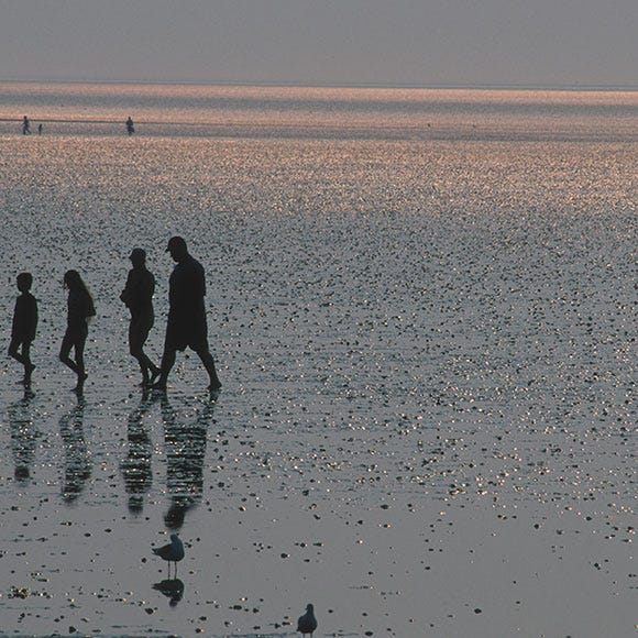 Fluid, Coastal and oceanic landforms, Horizon, People in nature, Ocean, People on beach, Sea, Evening, Shore, Dusk, 