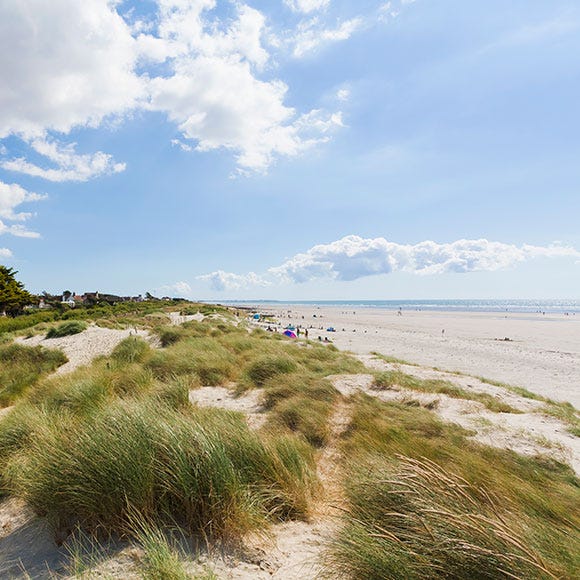 Sky, Cloud, Coastal and oceanic landforms, Sand, Coast, Shore, Ecoregion, Cumulus, Grassland, Grass family, 