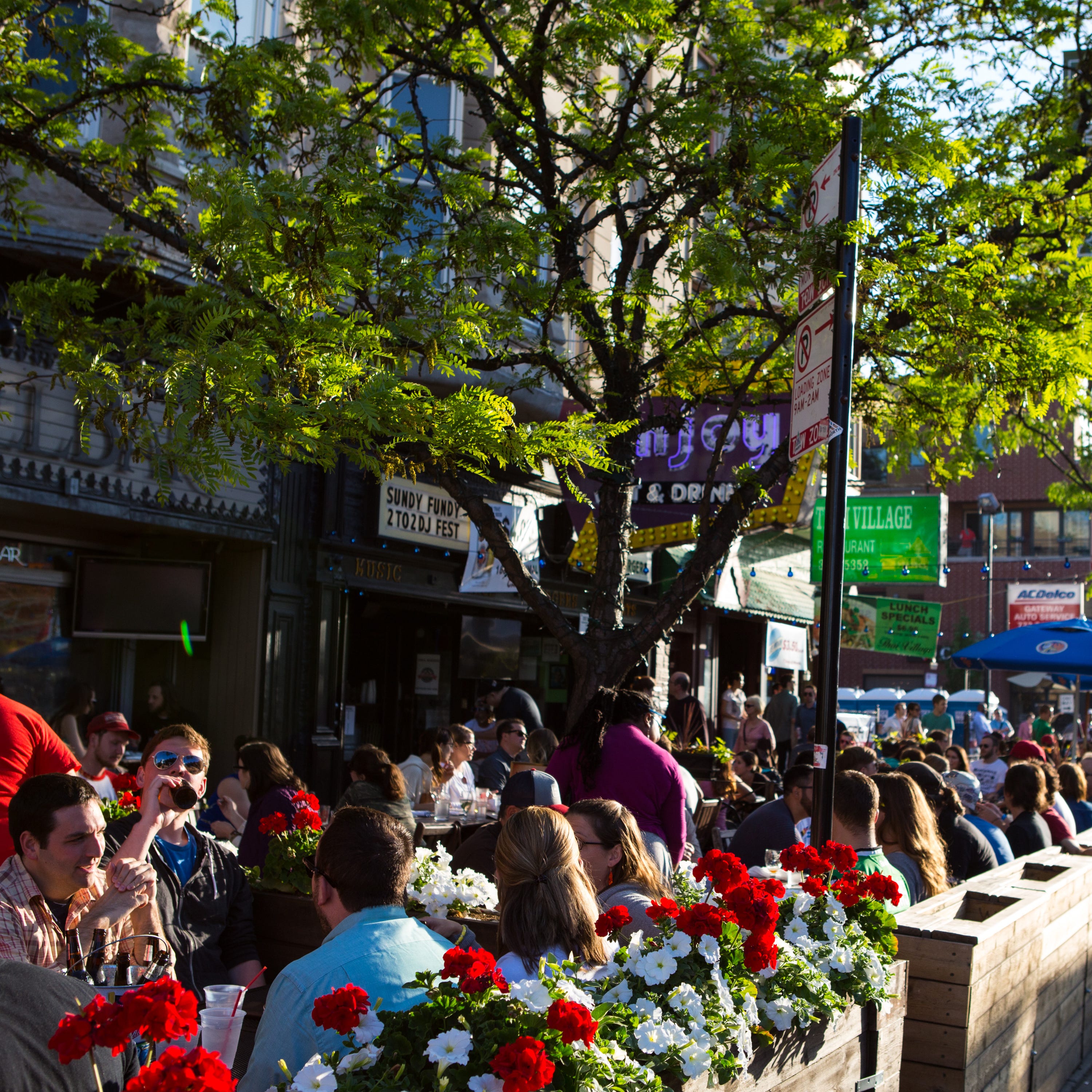 Public space, Floristry, Market, Flower Arranging, Bouquet, Floral design, Annual plant, Cut flowers, Tent, Umbrella, 