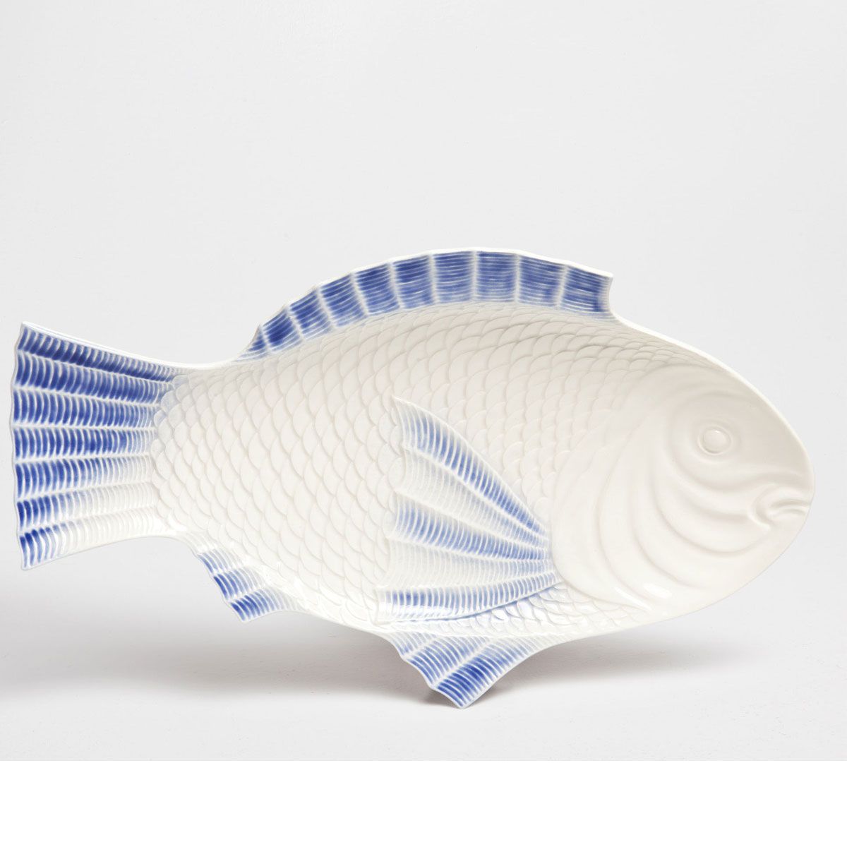 Blue, Line, Fish, Electric blue, Azure, Aqua, Cobalt blue, Natural material, Tail, Fin, 