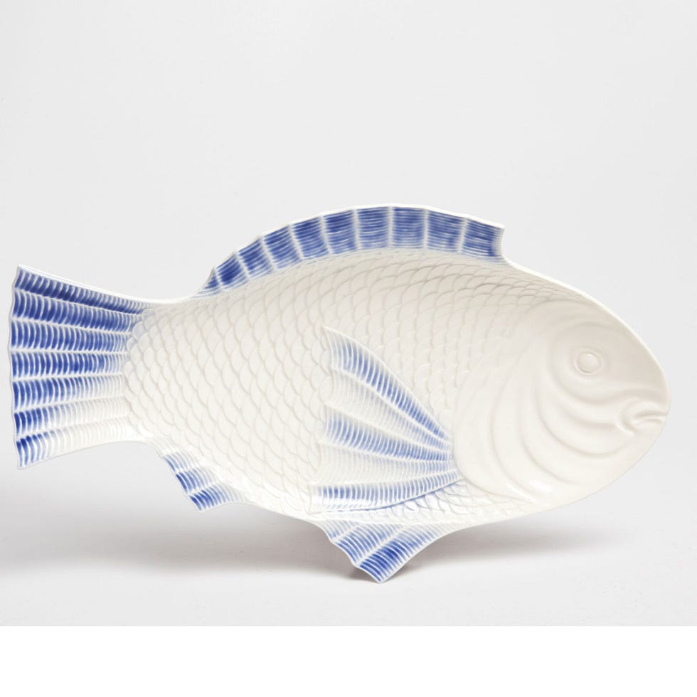 Blue, Line, Fish, Electric blue, Azure, Aqua, Cobalt blue, Natural material, Tail, Fin, 