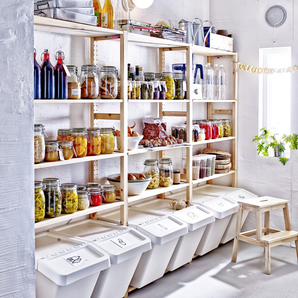 Shelving, Dishware, Shelf, Cuisine, Bottle, Home accessories, Refrigerator, Meal, Houseplant, Freezer, 