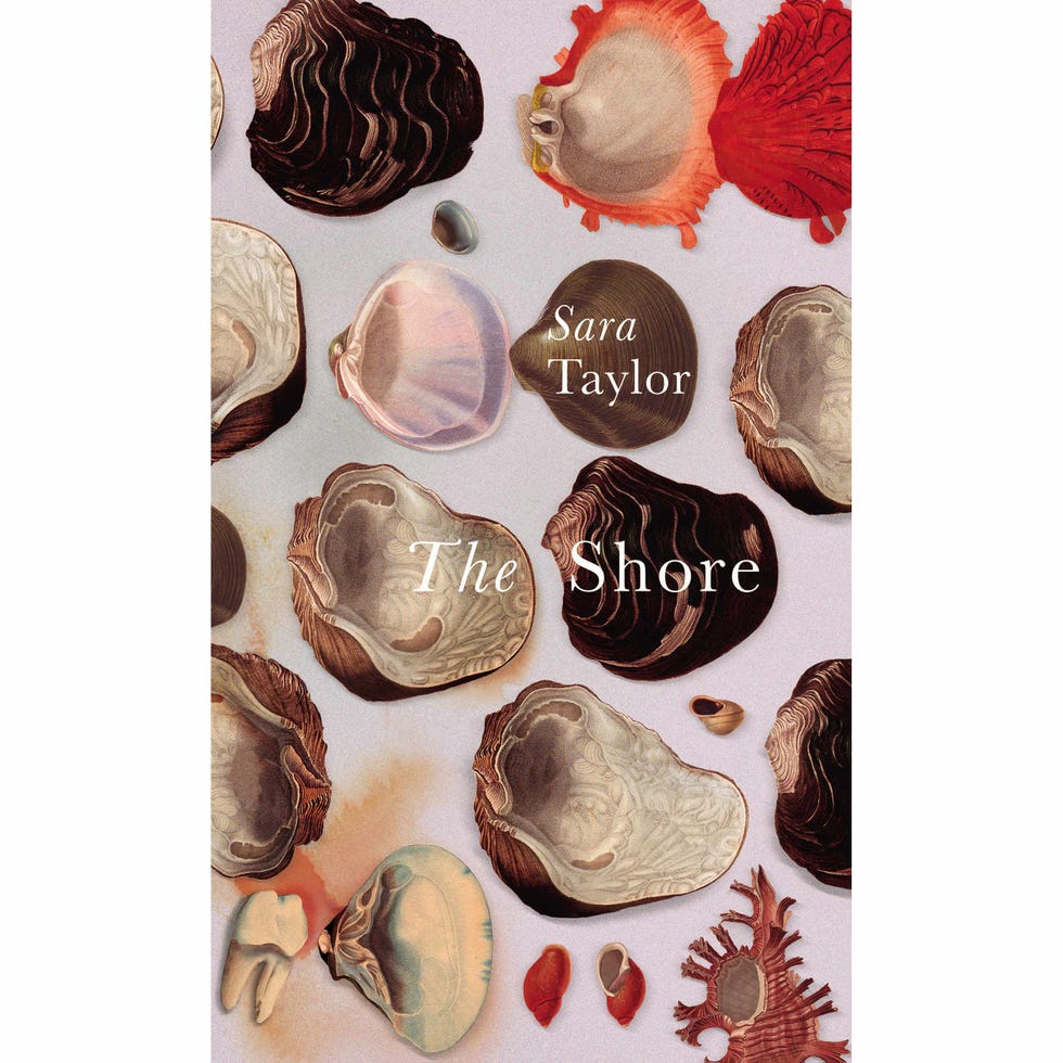 Organism, Natural material, Bivalve, Shell, Baltic clam, Clam, Dessert, Molluscs, Shellfish, Sweetness, Organism, Natural material, Bivalve, Shell, Baltic clam, Clam, Dessert, Molluscs, Shellfish, Sweetness,