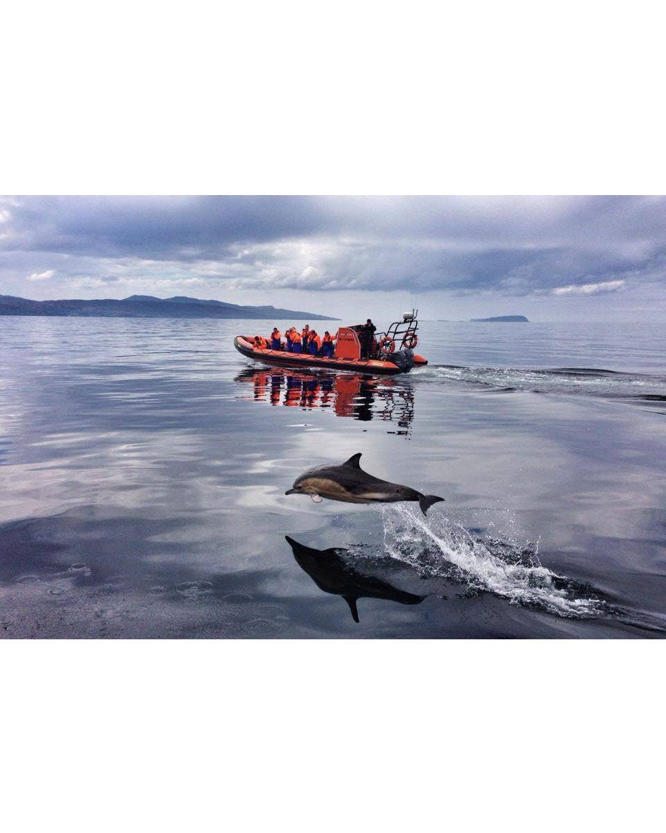 Watercraft, Boating, Boat, Ocean, Boats and boating--Equipment and supplies, Naval architecture, Sea, Wave, Reflection, Wind wave, Watercraft, Boating, Boat, Ocean, Boats and boating--Equipment and supplies, Naval architecture, Sea, Wave, Reflection, Wind wave,