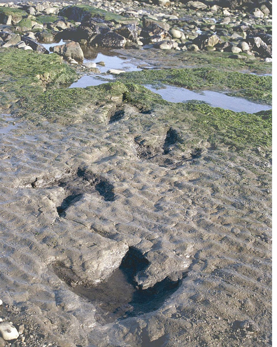 Soil, Wetland, Stream, Algae, Geological phenomenon, Creek, Arroyo, Seep, Bog, Mudflat, Soil, Wetland, Stream, Algae, Geological phenomenon, Creek, Arroyo, Seep, Bog, Mudflat,