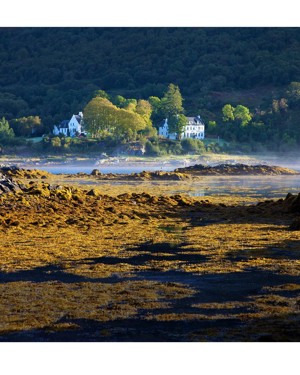 Natural landscape, Formation, Shore, Water feature, Outcrop, Riparian zone, Lacustrine plain, Natural landscape, Formation, Shore, Water feature, Outcrop, Riparian zone, Lacustrine plain,