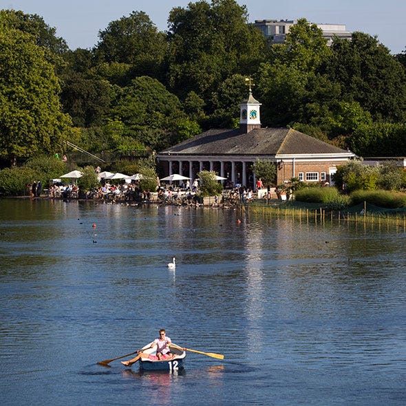 Boats and boating--Equipment and supplies, Recreation, Water, Oar, Tree, Waterway, Rowing, Boating, Watercraft, Outdoor recreation, 