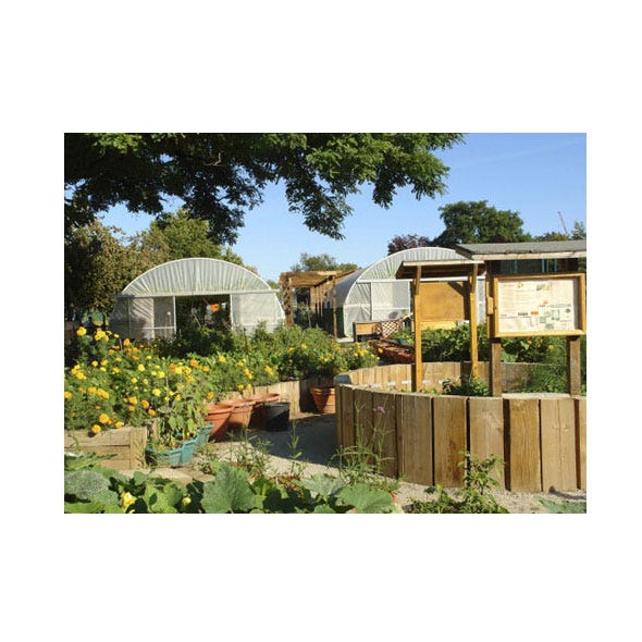 Land lot, Landscape, Shrub, Real estate, Garden, House, Roof, Home fencing, Home, Backyard, 