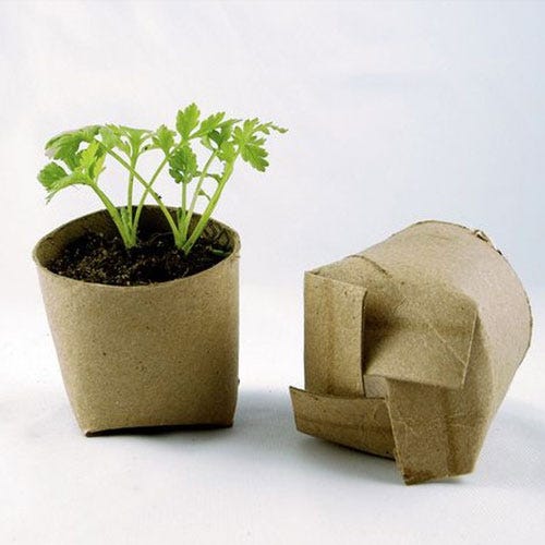 Leaf, Flowerpot, Herb, Beige, Houseplant, Annual plant, Paper product, Plant stem, Paper, Creative arts, 