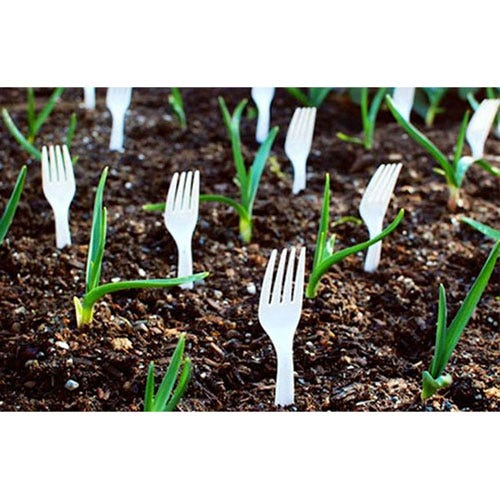 Green, Dishware, White, Leaf, Cutlery, Tableware, Soil, Fork, Grey, Kitchen utensil, 