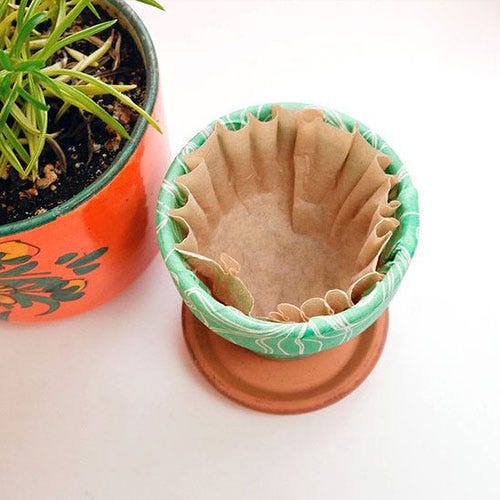 Flowerpot, Houseplant, Peach, Orange, Terrestrial plant, Tan, Teal, Pottery, earthenware, Interior design, 